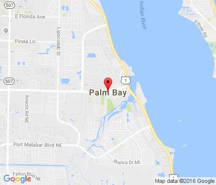 logo-image - PalmBay-FL